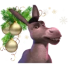 2₂