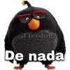 Angry birds 29