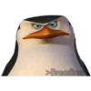 Los pingüinos 22