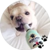 BARKARD
SUPERIGE
RUM