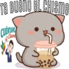 Mochis Cat Expressions 25