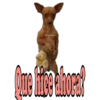 Los Perritos dicen 28