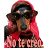 Los Perritos dicen 29