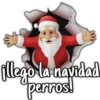 Santa claus toxico 29