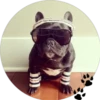 Sweet Dogs 30