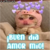 VESme o
BUen dia
AMOR Mio!