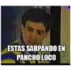 ESTAS SARPANDO EN
PANCHO LOCO
