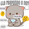 Mochis Cat Expressions 26