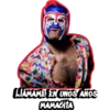 peluche en el estuche y más 29