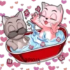 PAREJA DE GATOS 27