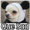 QUE SAD 18