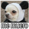 QUE SAD 19