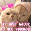 ESme o
Te dejo haceR
LO que quieRas!
