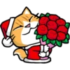 Meow SANTA 30