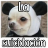 QUE SAD 20