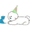MIKO THE FLUFFY WHITE DOG 6