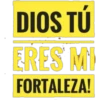 DIOS TÚ
ERES MI
FORTALEZA!