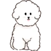 MIKO THE FLUFFY WHITE DOG 7