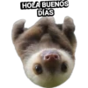 Variados 6