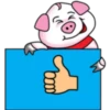 2   PiG 7