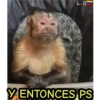 L.O
YENTONCES PS