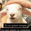 Ya no quiero terapia
Lo que quiero es venganza