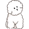 MIKO THE FLUFFY WHITE DOG 9