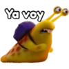 KOA DA
DA