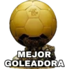 BALON DE ORO 7