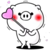 ● WhItE  PiG ● 11