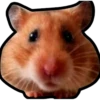 Hamsters Memes 5