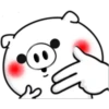 ● WhItE  PiG ● 13