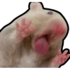 Hamsters Memes 7