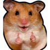 Hamsters Memes 8