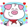 2   PiG 10