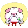 PiG 13