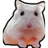 Hamsters Memes 11
