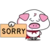 SORRY
