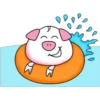 PiG 15