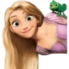 www