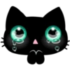 ☆C☆  1 BLACK Kitty 8
