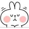 SPOILED RABBIT EMOJI#2 18