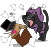 ☆C☆  1 NINJA Nyanko 14