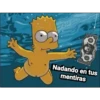 Variados 17