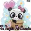 Romance 17