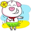 PiG 17