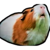 Hamsters Memes 13
