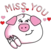 MISS. YOU