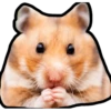 Hamsters Memes 14