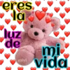 osito de peluche 10